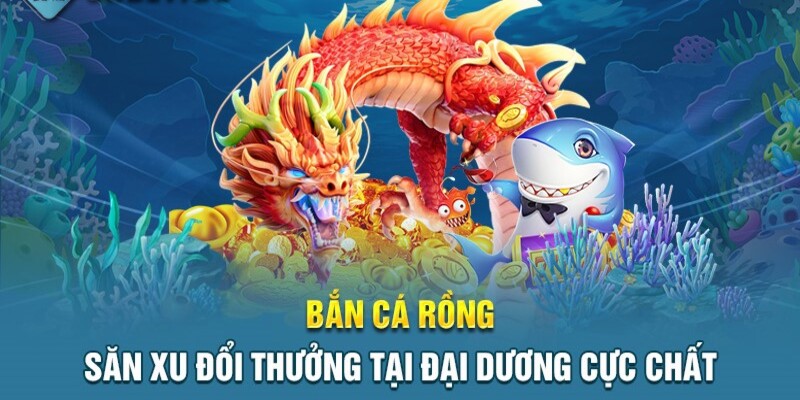 Giới thiệu sơ lược về săn cá rồng đầy hấp dẫn ở Banca30