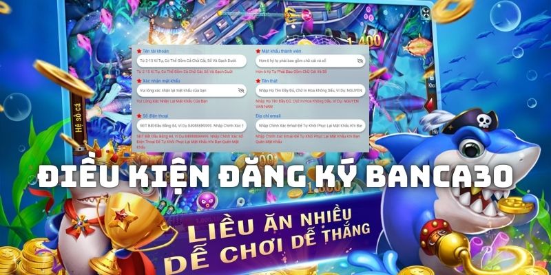 Tìm hiểu những điều kiện căn bản để đăng ký Banca30